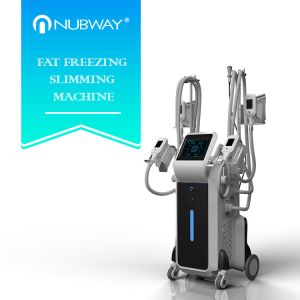 Buy cheap 4 handles fat freezing Cryolipolysis machine from wholesalers