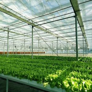 Buy cheap Integrated PV Module Mounting Systems For Greenhouse from wholesalers