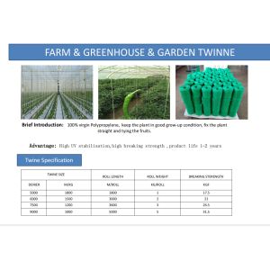 Buy cheap Greenhouse Tomato Banana Twine , PP Multi Span Agricultural Twine from wholesalers