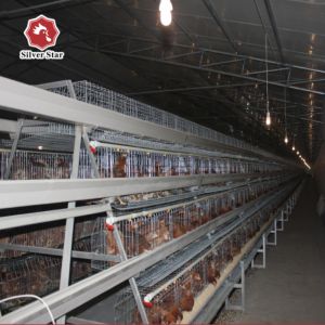Buy cheap Hot Dipped Galvanized A Type Layer Chicken Cage For Farm from wholesalers