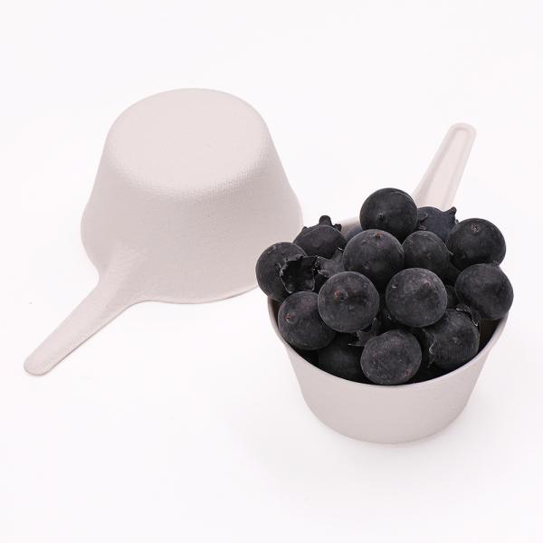 Biodegradable deep pan shape sugarcane salad tray disposable bagasse paper DIY mini tableware