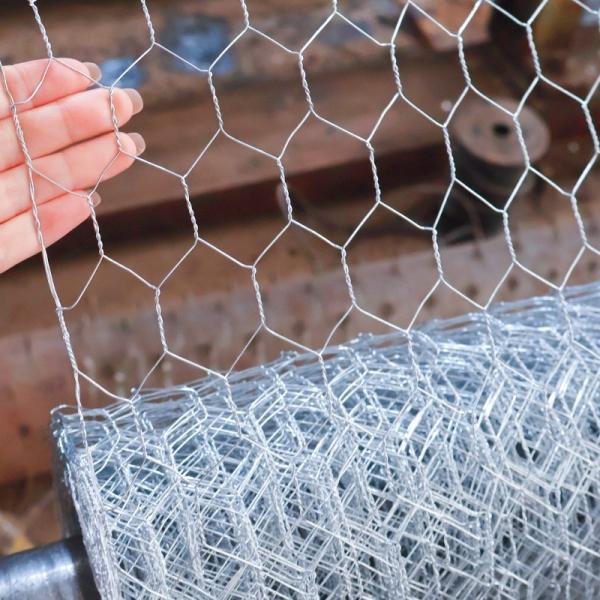 China 1X 20ga Hexagon Wire Mesh Chicken Wire Mesh Roll For Poultry Farm Mesh Net on sale China 1X 20ga Hexagon Wire Mesh Chicken Wire Mesh Roll For Poultry Farm Mesh Net on sale