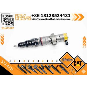 Buy cheap 1PCS Fuel injector 573-4231 For Caterpillar CAT C9 Engine D300GC D250GC XQP300 Generator Set D6R XL D6T D6R LGP D6R Excavator from wholesalers
