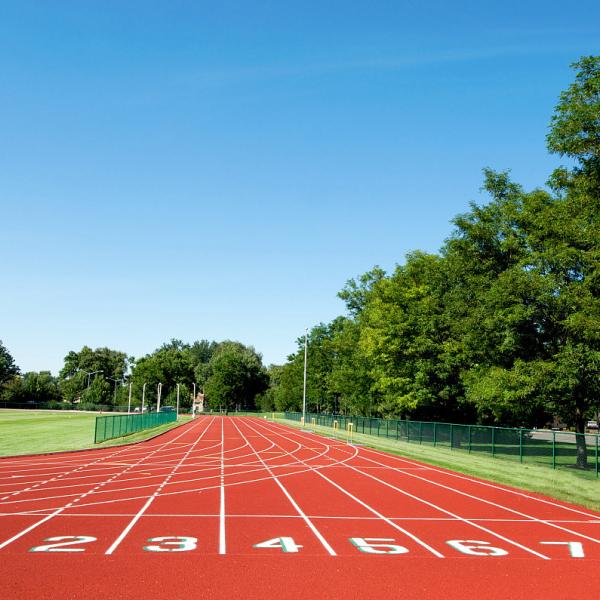 High Elasticity Jogging Track Material Rubber Playground Surface