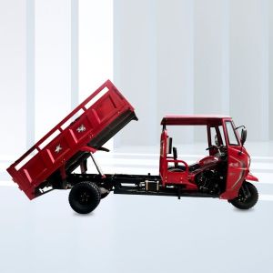 Buy cheap Open Body Type 2021 DAYANG 250cc Semi Cabin Cargo Tricycle 300cc Red Color Power Engine from wholesalers