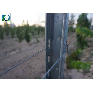Buy cheap Galvanised 50x40MM Vineyard Trellis Posts For Big Wine Garden from wholesalers