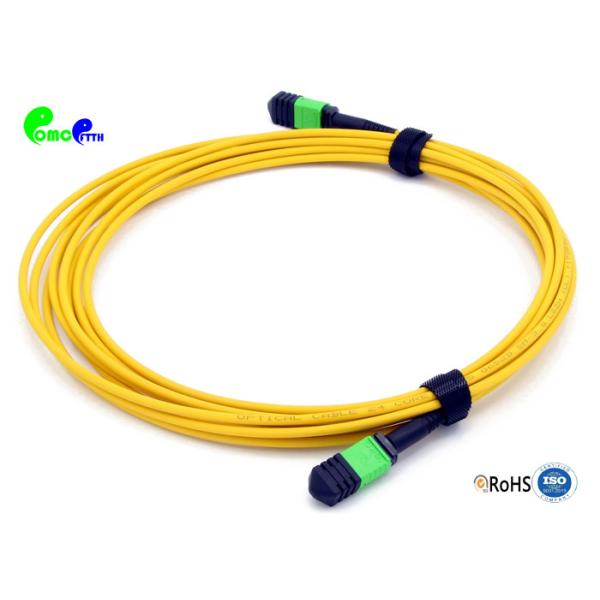 SM 24F 10M MPO Female - MPO Female MPO Trunk Cable For 40G / 100G Data Center