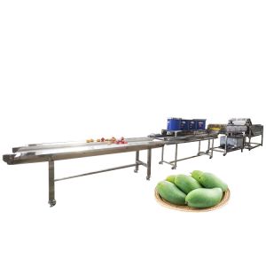 Buy cheap Industrial Fruit Washer And Sorting Line Apple Mango Washing Machine 400-600KG/H Fruit Cleaner Machine from wholesalers