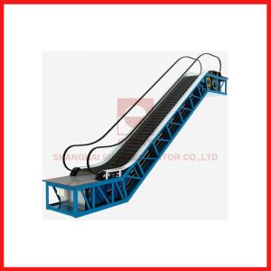 Automatic Induction Moving Walk Escalator Efficient For Large Passenger