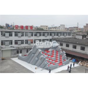 Deagon Head Shaped Giant Adult Inflatable Slide With Step Behind