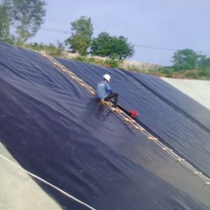 1m-8m Width 0.3mm-3.0mm Thickness HDPE Geomembrane Lining for Reinforced Pond