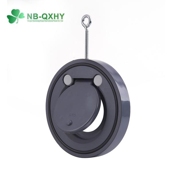 Quality Effective Ddcv Double Lobe Function PVC White Swing Check Valve with ANSI Standard for sale