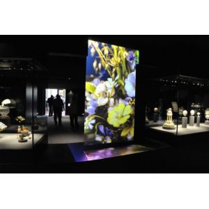 HD Holographic Rear Projection Window Film Transparent See Through Windon