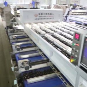 Buy cheap Optimize Your Output with Our High Capacity, AI Powered Chestnut Sorting Machine, Featuring 8 Lanes + 8 Outlets and Made from Durable 304 Stainless from wholesalers