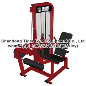 Buy cheap Single Station Gym fitness equipment machine Seated Leg Curl exercise machine product