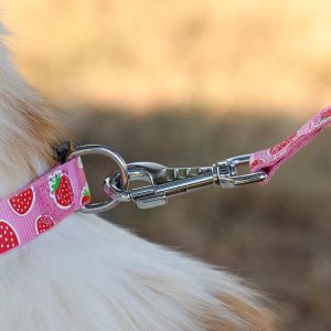 Buy cheap OEM training dog leash Silk Screen Pattern dog training lead from wholesalers