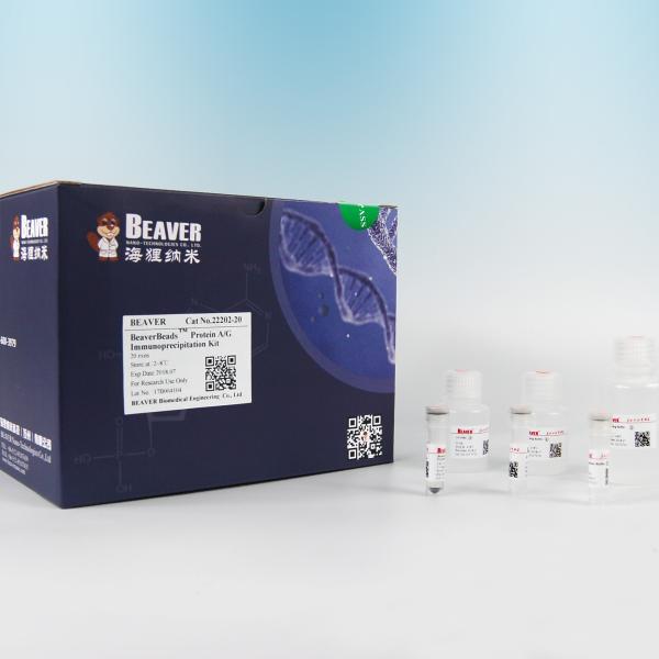 Buy cheap Protein A Magnetic Beads For Immunoprecipitation By Superparamagnetic Microspheres from wholesalers