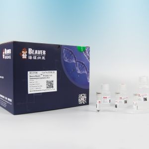 Buy cheap Protein A Magnetic Beads For Immunoprecipitation By Superparamagnetic Microspheres from wholesalers