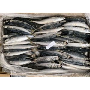 Buy cheap Purse Seine Catch Seafrozen 90g 100g Round Scad Fish from wholesalers