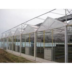 Buy cheap Agricultural Flowers Shading Multi Span Hot Dipped Galvanized Polycarbonate Greenhouse from wholesalers