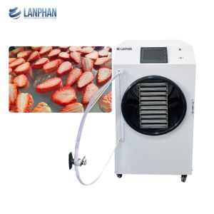 Buy cheap Vacuum Freeze Dryer Multifunctional  Home Freeze Drying Machine For Vegetable Fruit Juice from wholesalers
