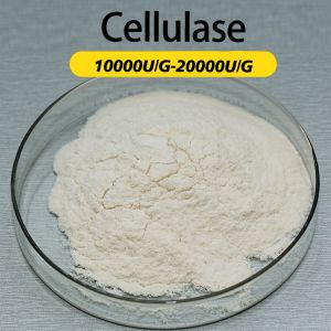 Buy cheap Cellulase Enzyme 10000U/G Enzyme Preparation Sample Testing Enzymatic Hydrolysis product