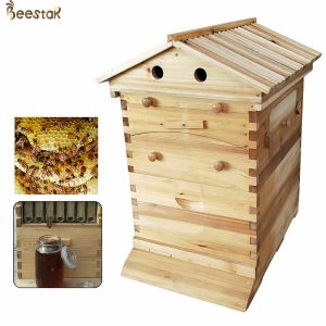 Beehive And Frame Unassembled flow hive Plus 7 Honey Flow Frames Inside