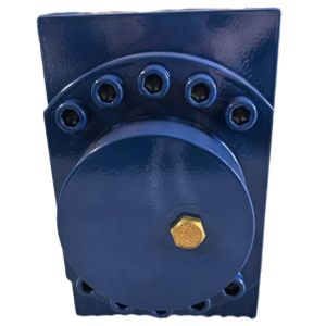 Customized Lock Hydraulic Cylinder for Engineering Machinery Industrial