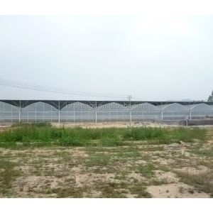 Buy cheap Tomato Growing Agricultural Equipment Roof Vent Free Multi Span Greenhouse from wholesalers