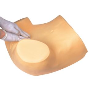 Buy cheap Education tool gynecologic simulator IUC , pelvic examination for University product