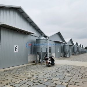 China Prefab House Solutions for Warehouse, Chicken House, Poultry House on sale