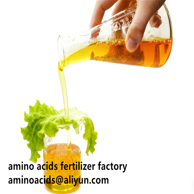 Hydrolyzed Vegetable Free Amino Acids 80% Liquid