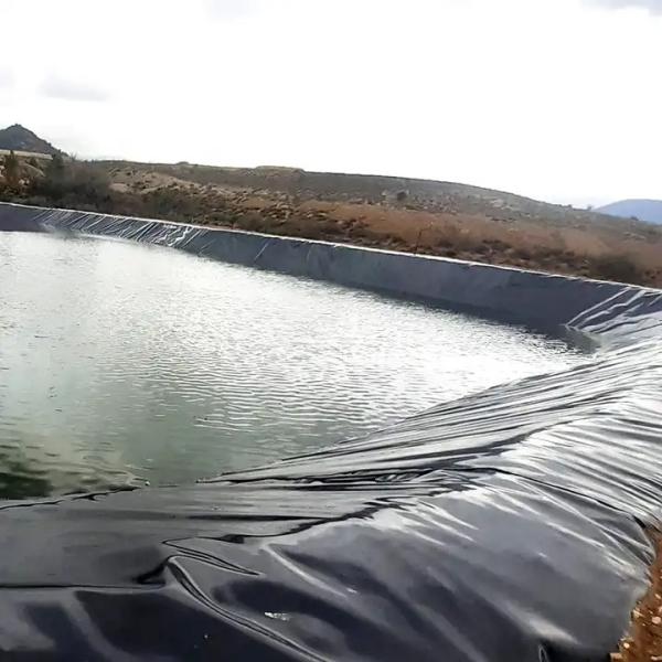 Shrimp Fish Farm Pond Liner HDPE Geomembrane 0.5mm 0.75mm 1mm Water Resistant
