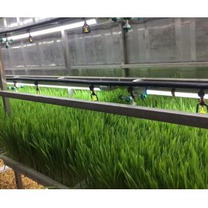 Buy cheap Container House for Leafy Vegetable Cultivation Hydroponics Cultivation Technology from wholesalers