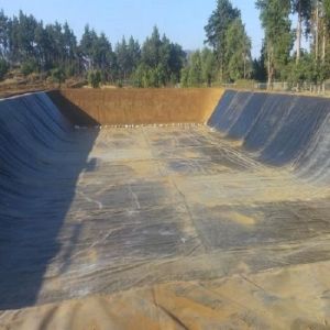 Fish Pond Lagoon Lake Dam Liner 1.5mm White Black Hdpe Geomembranes with ASTM