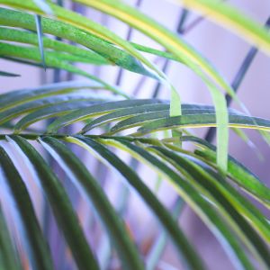 Anti Fading Artificial Landscape Plants 2-5 Square Meter With Plants And Bush