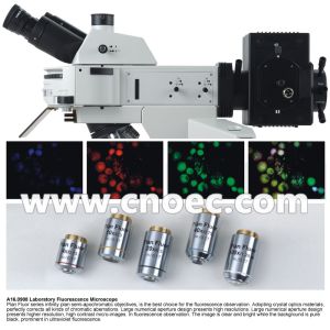 USB Digital Fluorescence Microscope Laboratory A16.0909