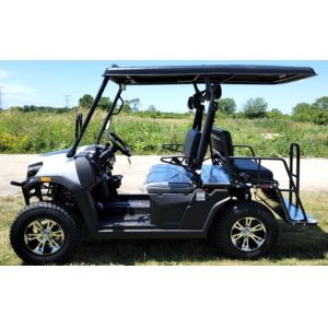 Golf Cart Gas Utility Vehicles UTV Rancher 200 EFI With Automatic Trans Reverse