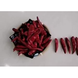 China 20000SHU Chinese Dried Red Chili Peppers 12% Moisture With Stem on sale