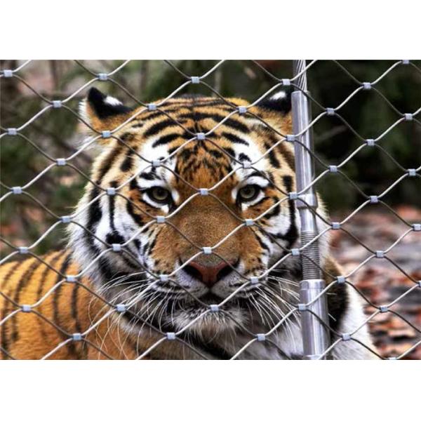 Buy cheap Zoo Netting Carbon Rope Chain Link Wire Mesh Fencing With SS 316 Material Small Hole 50 * 50mm from wholesalers