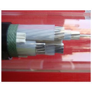 Buy cheap Low Loss XLPE Insulated Power Cable Energy Saving Solution with Yjy Yjv Wdz-Yjy Wdz-Yjv in 1.1*1.1*0.98m Size from wholesalers