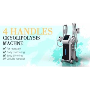 Buy cheap Cryolipolysis cool shaping body sculpting machine Cryo fat reduction from wholesalers
