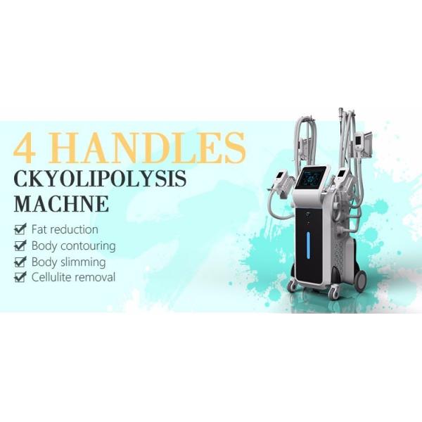 Quality Cryolipolysis cool shaping body sculpting machine Cryolipolysis side effects for sale