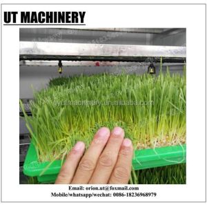 Buy cheap 2400w Hydroponic Bean Growing SproutS Machines for Broccoli Super Sprouting within PLC from wholesalers