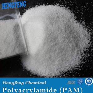 Wholesale White Powder Polymer PAM Flocculant Anionic Cationic Polyacrylamide in