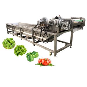 Water Saving 500kg Per Hour Vegetable and Fruit Avocado Garlic Tomato Pomegranat