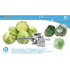 Greens cabbage leafy pouch packaging horizontal servo packing machine