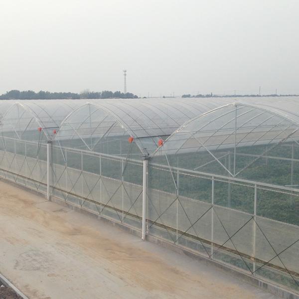 Quality Durable Tomato Greenhouse Agriculture Plastic Film with Cooling and Heating Features for sale