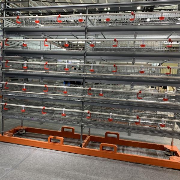 Buy cheap Enriched Wire 5 Cell 128 Birds Layer Chicken Cage from wholesalers