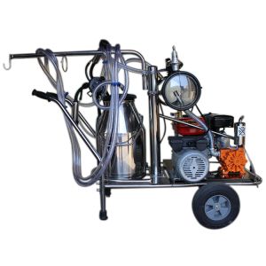 50KPa Single Bucket Trolley Milking Machine With Gasoline Engine